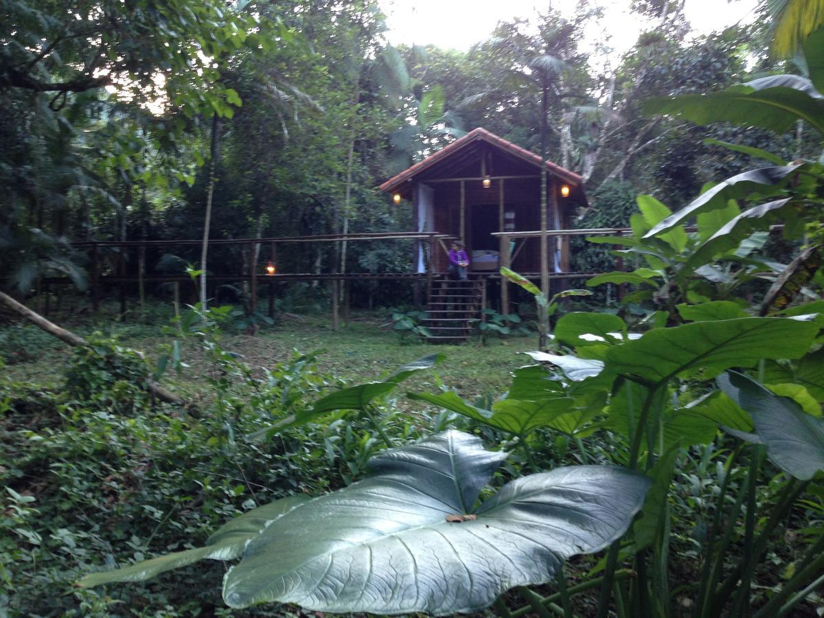 فندق Glamping Mangarito إبورانغا المظهر الخارجي الصورة