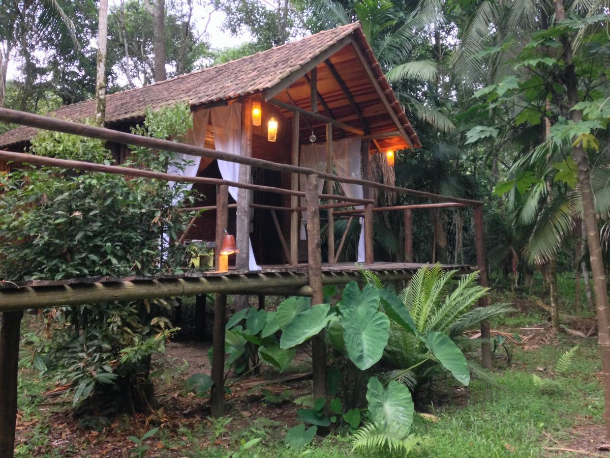 فندق Glamping Mangarito إبورانغا المظهر الخارجي الصورة