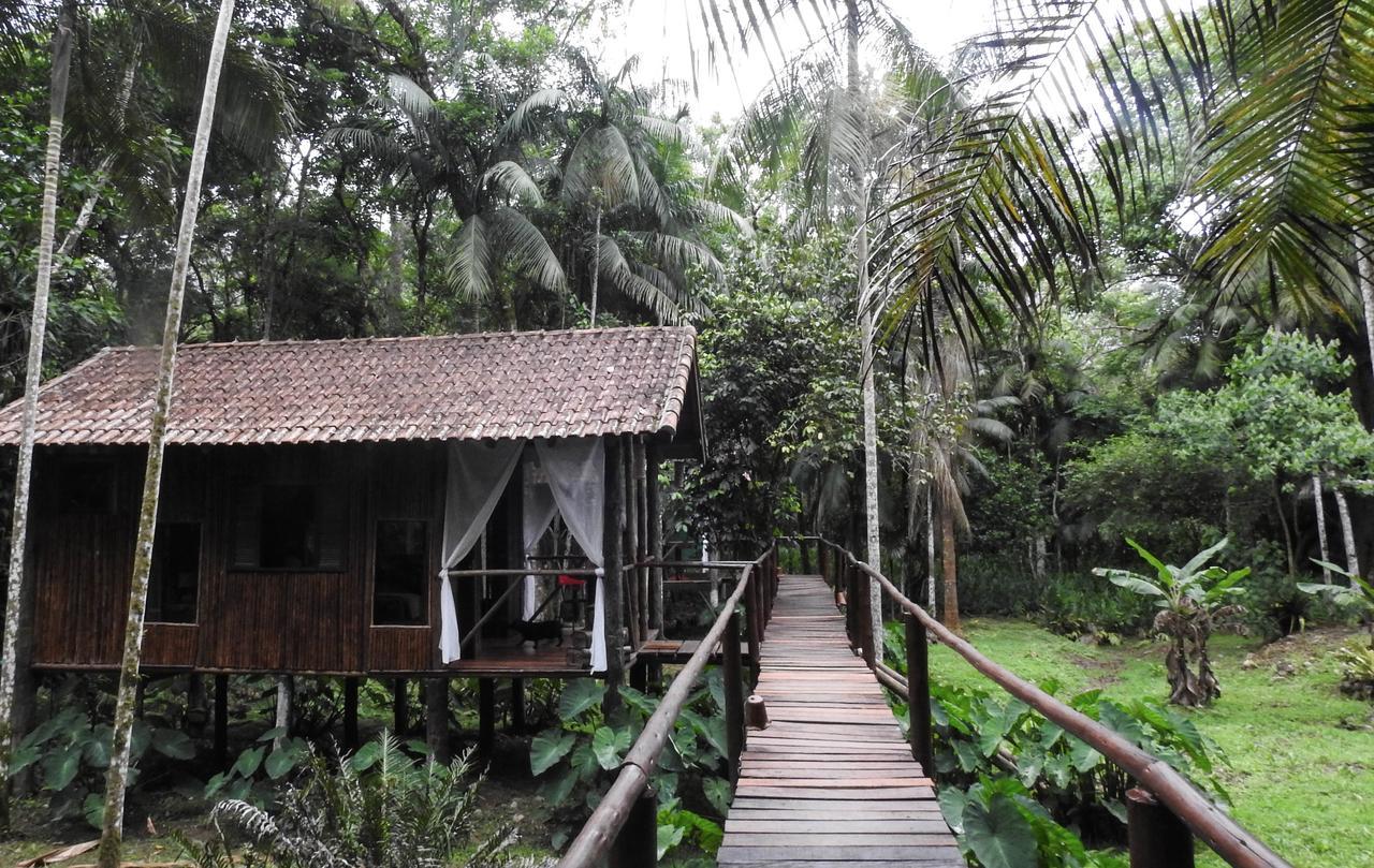 فندق Glamping Mangarito إبورانغا المظهر الخارجي الصورة